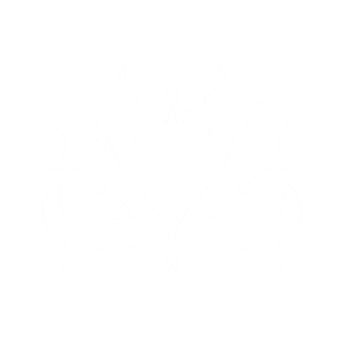 22simba Merch